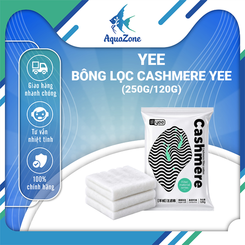 YEE-BÔNG LỌC CASHMERE