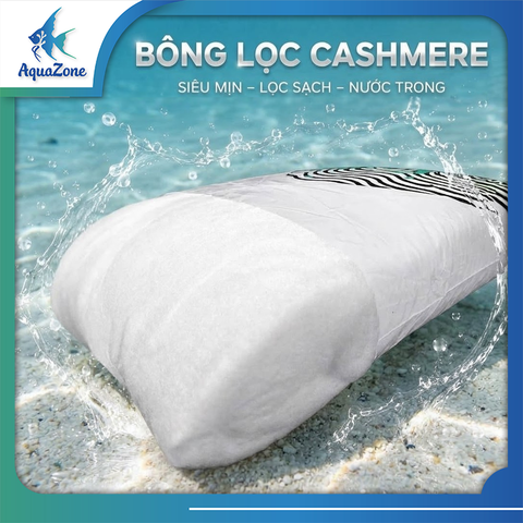 YEE-BÔNG LỌC CASHMERE