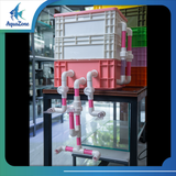 Hộp Lọc Baki Giấu Bơm AZone – Lọc Tràn Hồ Cá, Hút Mặt Váng, Dễ Lắp Đặt