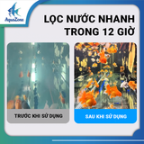 Lọc Thùng Sunsun YWY-800 Cao Cấp – Lọc Nước 3 Tầng, Tích Hợp Đèn UV Diệt Khuẩn Cho Hồ Cá Cảnh & Hồ Nuôi Rùa