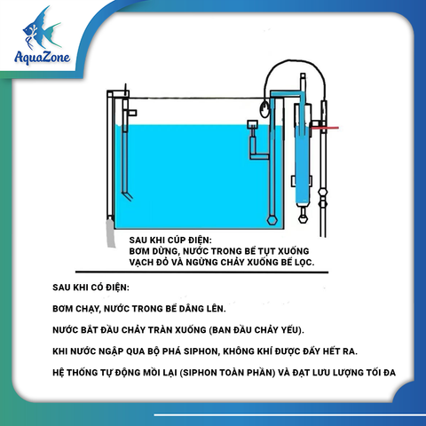Ống Tách Phân Lưới Inox 304, Ống In Out Thủy Sinh Phụ Kiện Hồ Cá