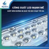 ZETLIGHT-ĐÈN M5