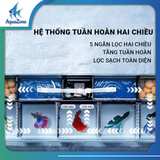 Combo Bể Cá YEE/Nepall/Cherlam – Hồ Kính Mini Kèm Lọc Bên, Kính Siêu Trắng, Tự Lọc Tuần Hoàn, Hệ Sinh Thái Mới Cho Bể Cá