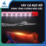 Đèn Led KINTONS T8 3 Chế Độ Màu – Tăng Sắc Đỏ Cho Cá Rồng & Cá Cảnh Siêu Sáng Tiết Kiệm Điện
