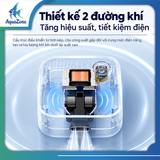 YEE-SỦI OXI YXT