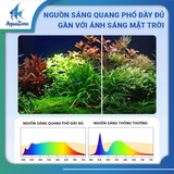 YEE-ĐÈN KẸP BỂ CÁ 13W (PHIÊN BẢN HIỂN THỊ NHIỆT ĐỘ)