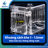 YD-LỒNG CÁCH LY CÁ AquaZone YD lồng tách cá trong suốt cho bể cá