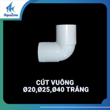 Bộ phụ kiện nối ống nước tiện lợi (cút nối, cút chếch, cút vuông, khóa vòi nước, thu, giắc co, bịt đầu ống, kẹp ống)