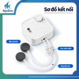 YEE-SỦI OXI YXT