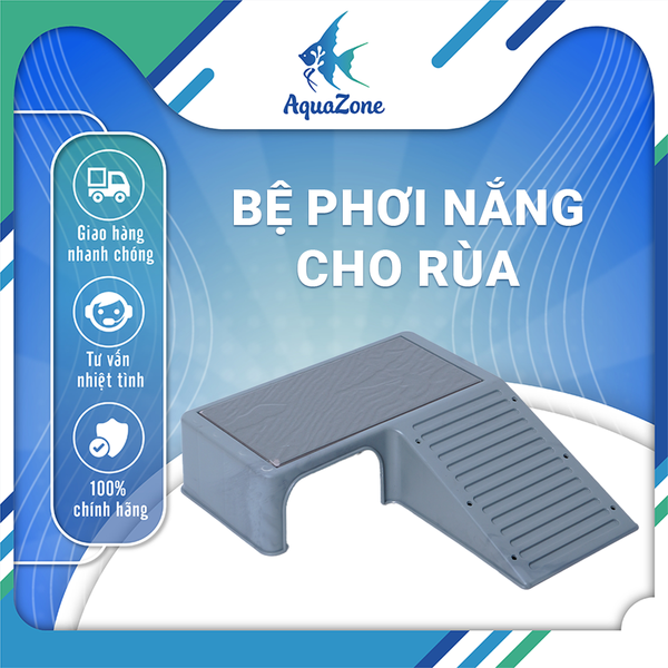 BỆ PHƠI RÙA MÀU XÁM