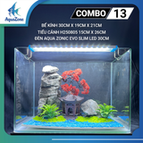 Combo Bể Cá Thủy Sinh Mini Để Bàn ,Trọn Bộ Setup Bể Cá Cảnh Nhỏ Gọn Đẹp, Phụ Kiện Đầy Đủ