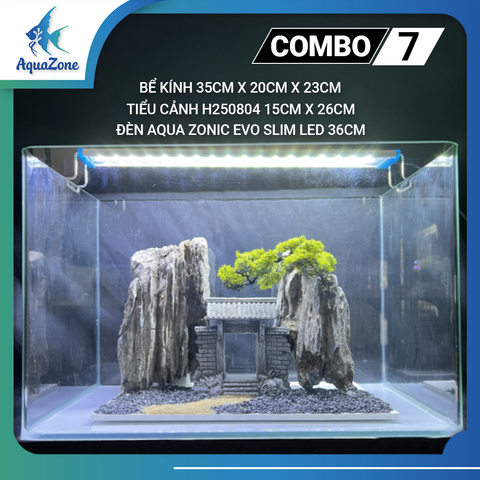 Combo Bể Cá Thủy Sinh Mini Để Bàn ,Trọn Bộ Setup Bể Cá Cảnh Nhỏ Gọn Đẹp, Phụ Kiện Đầy Đủ