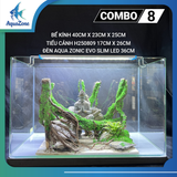 Combo Bể Cá Thủy Sinh Mini Để Bàn ,Trọn Bộ Setup Bể Cá Cảnh Nhỏ Gọn Đẹp, Phụ Kiện Đầy Đủ