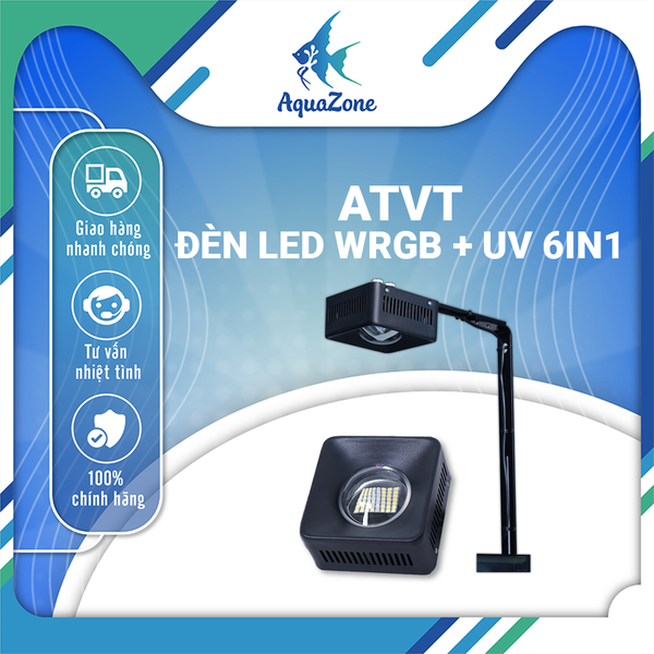 ATVT-ĐÈN HỘP 75W