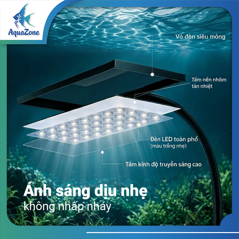 ATVT-ĐÈN KẸP RGB