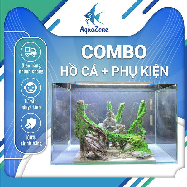Combo Bể Cá Thủy Sinh Mini Để Bàn ,Trọn Bộ Setup Bể Cá Cảnh Nhỏ Gọn Đẹp, Phụ Kiện Đầy Đủ