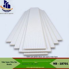 Tấm tiêu âm nhựa nano NB2501