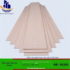Tấm tiêu âm nhựa nano NB1001