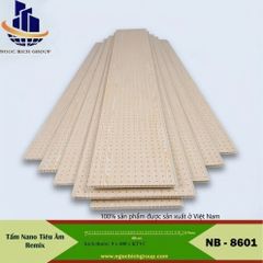Tấm tiêu âm nhựa nano NB6101