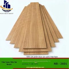 Tấm tiêu âm nhựa nano NB2701
