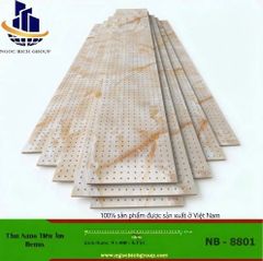 Tấm tiêu âm nhựa nano NB2701
