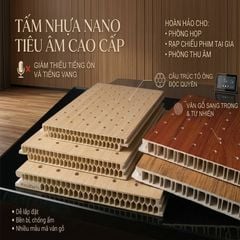 Tấm Nhựa Nano Tiêu Âm NB2201