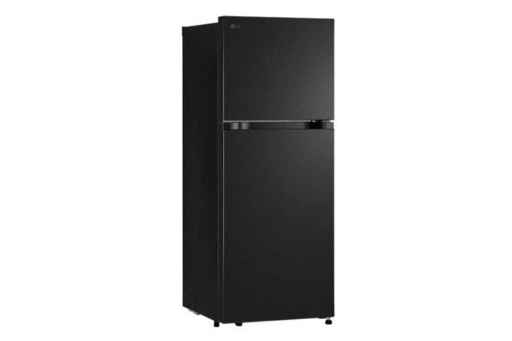 Tủ lạnh LG 217 lít LTB21BLMD