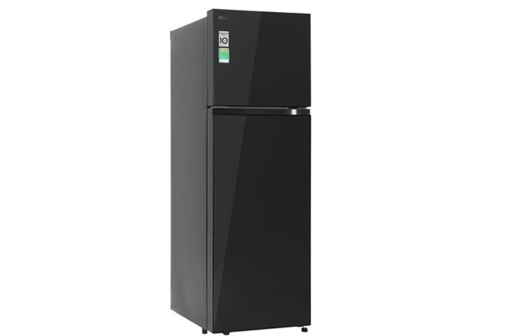 Tủ lạnh LG Inverter 217 lít T21BG