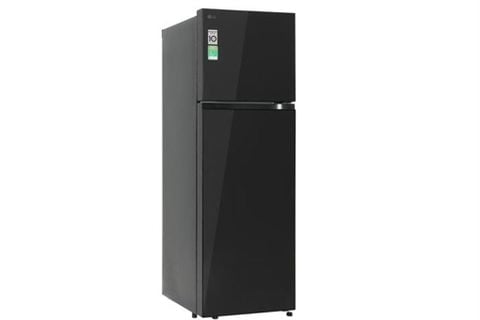Tủ lạnh LG Inverter 217 lít T21BG