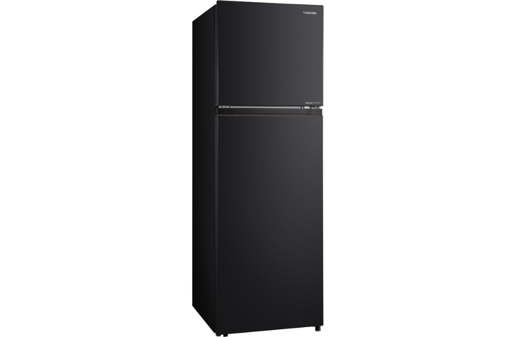 Tủ lạnh Toshiba Inverter 271 lít GR-RT349WE-PMV(68)