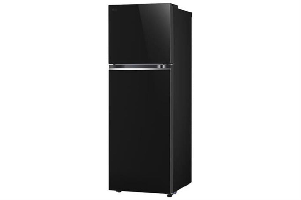 Tủ lạnh LG Inverter 335 lít LTB33BLG
