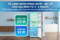 Tủ lạnh Samsung Inverter 307 lít RB30N4190S9/SV