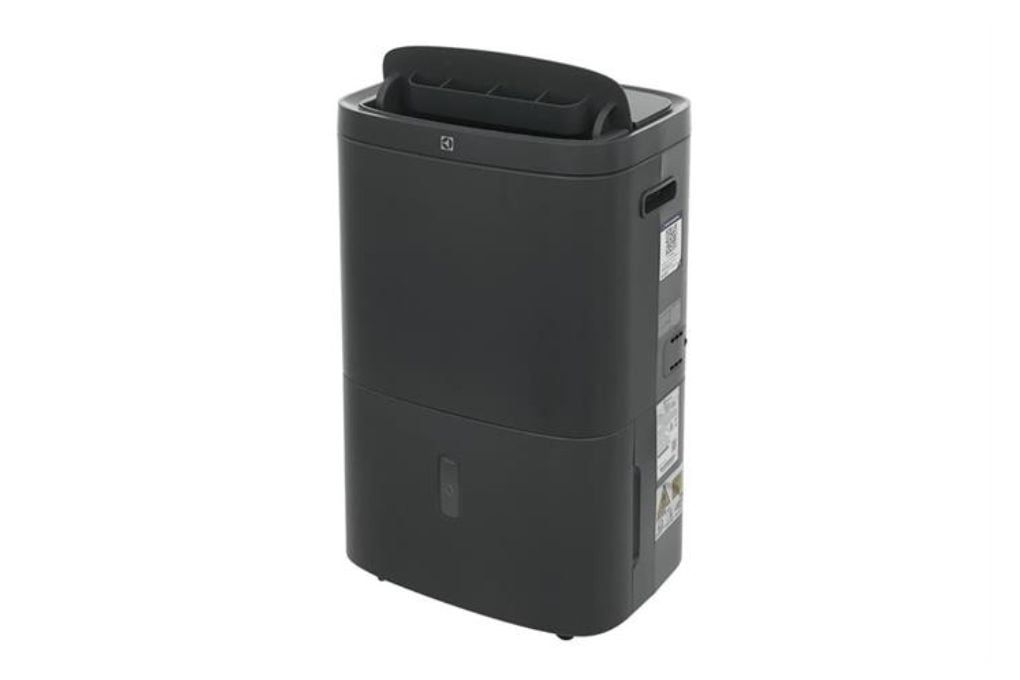 Máy hút ẩm kết hợp lọc không khí Electrolux EDH16TRBD3