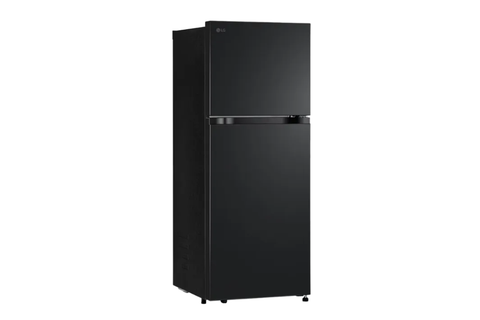 Tủ lạnh LG Inverter 217 lít LTB21BLMI
