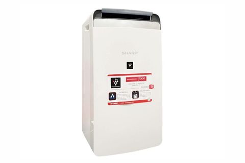 Máy lọc không khí và hút ẩm Sharp DW-J20FV-W (52m2)