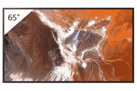 Smart Tivi chuyên dụng Sony BRAVIA 4K 65 inch FW-65BZ30P