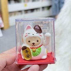 Mèo Thần Tài Chó Cosplay Mèo - Năng Lượng - Tết 2026