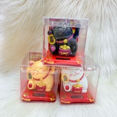 Mèo Thần Tài Cầm Liểng Ngồi Dưới Túi Vàng - Năng Lượng - Tết 2026