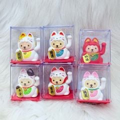 Mèo Thần Tài Chó Cosplay Mèo - Năng Lượng - Tết 2026