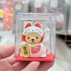 Mèo Thần Tài Chó Cosplay Mèo - Năng Lượng - Tết 2026