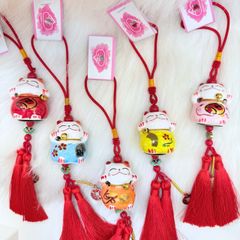 Dây Mèo Sứ To Tết 2026