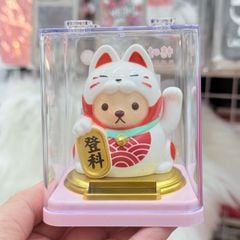 Mèo Thần Tài Chó Cosplay Mèo - Năng Lượng - Tết 2026