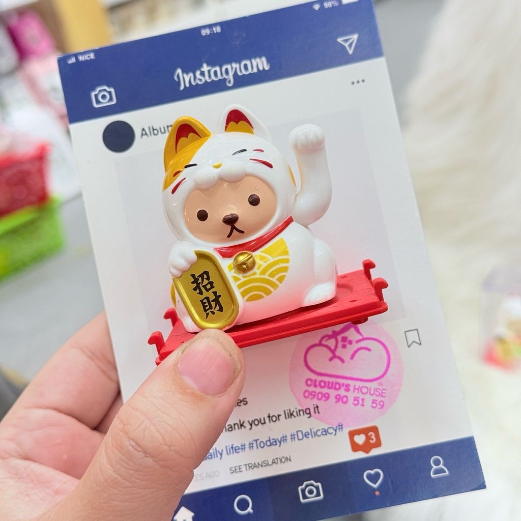 Mèo Thần Tài Chó Cosplay Mèo - Năng Lượng - Tết 2026
