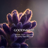  Nến thơm Basic - Goodnight! 