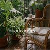 Nến thơm Terracotta - Our Garden 