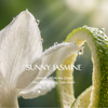  Nến thơm Basic - Sunny Jasmine 