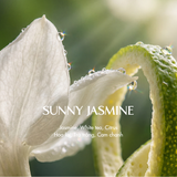  Nến thơm Terracotta - Sunny Jasmine 