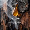  Nến thơm Basic - The Forest 