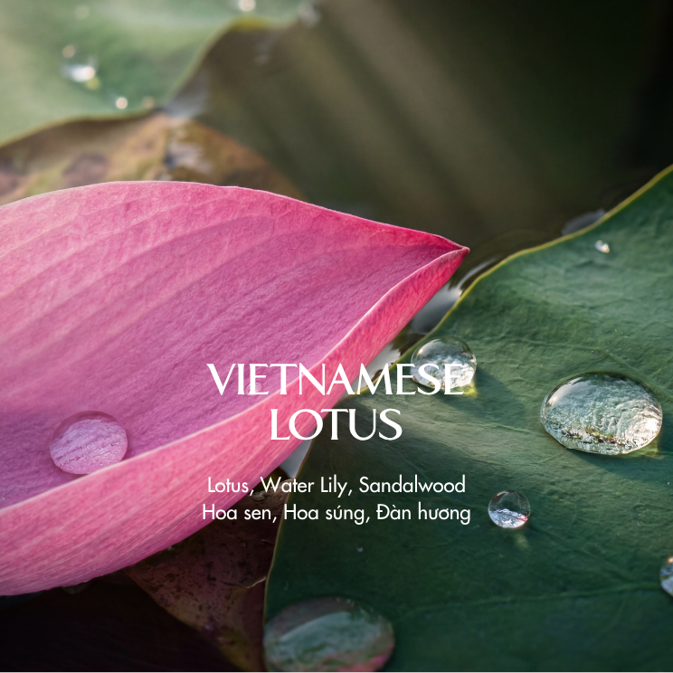  Nến thơm Terracotta - Vietnamese Lotus 