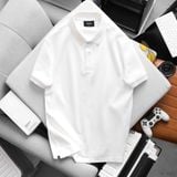  Áo polo RAFOZ Basic Lightweight - 023 